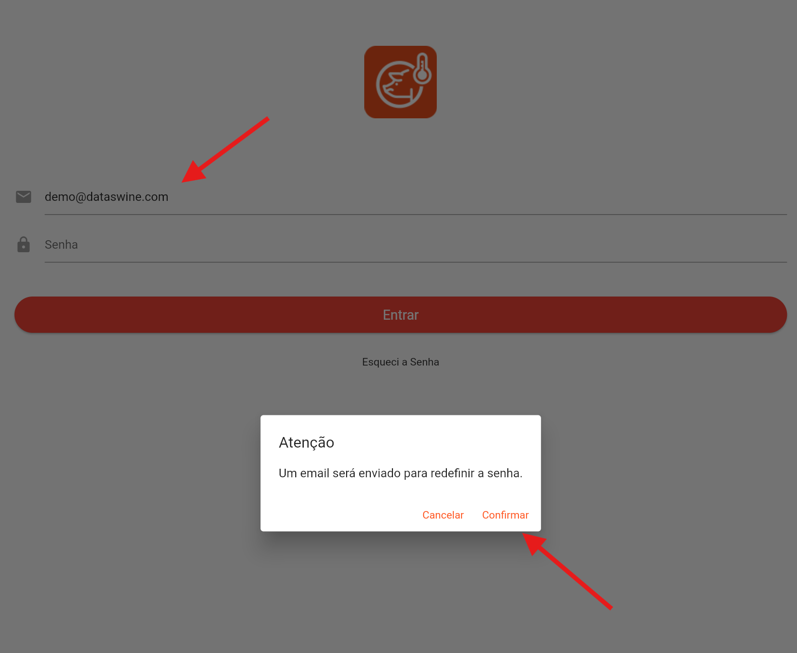 Tela de recuperação de senha